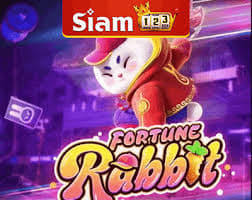 sinal fortune rabbit ícone